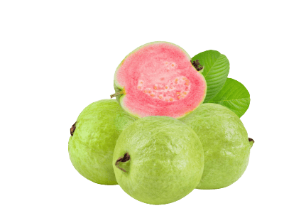 Guava
